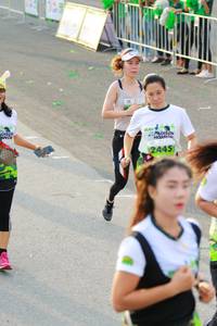 BIB: 2445
                            <button type="button" onclick="openModal(3534872)" class="btn btn-primary btn-sm float-right btn-popup" data-toggle="modal" data-target=".modal-high-quality">
                        <i class="fas fa-shopping-cart"></i> Add to Cart
                    </button>
                                            <button type="button" onclick="isThisMe(3534872, true)" class="btn btn-success btn-sm float-right btn-popup btn-isme hidden" data-toggle="tooltip" data-placement="bottom" title="นี่คือรูปของคุณใช่ไหม คลิกที่นี่เพื่อเอาเข้าอัลบั้ม">
                        <i class="fas fa-plus"></i> Add to album
                    </button>
                    <button type="button" onclick="isThisMe(3534872, false)" class="btn btn-warning btn-sm float-right btn-popup btn-isnotme hidden">
                        <i class="fas fa-ban"></i> Remove from album
                    </button>